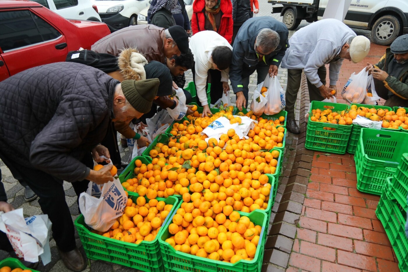 belediye meydanında mandalina dağıtımı (14)