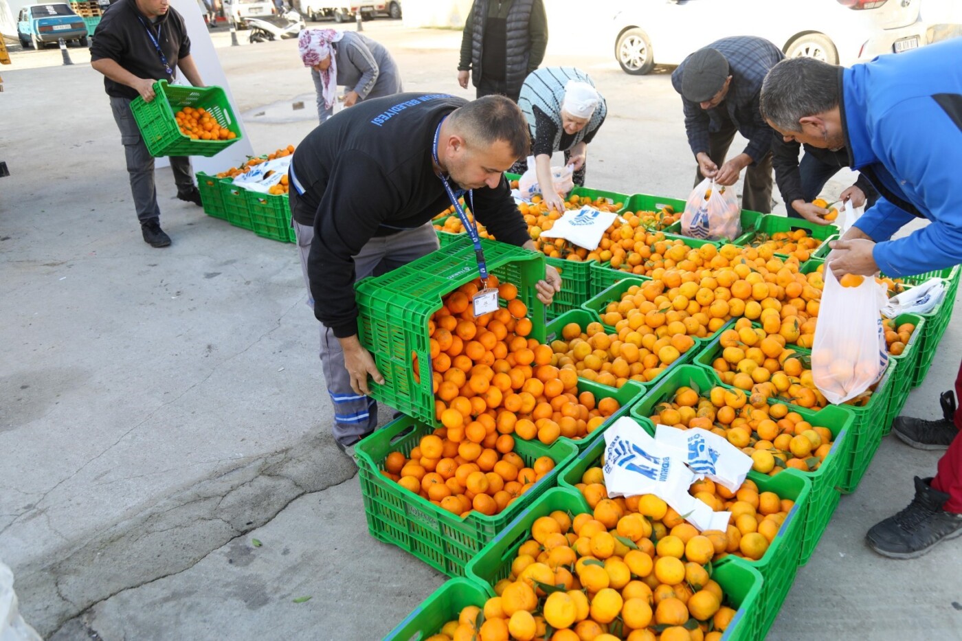 belediye meydanında mandalina dağıtımı (6)