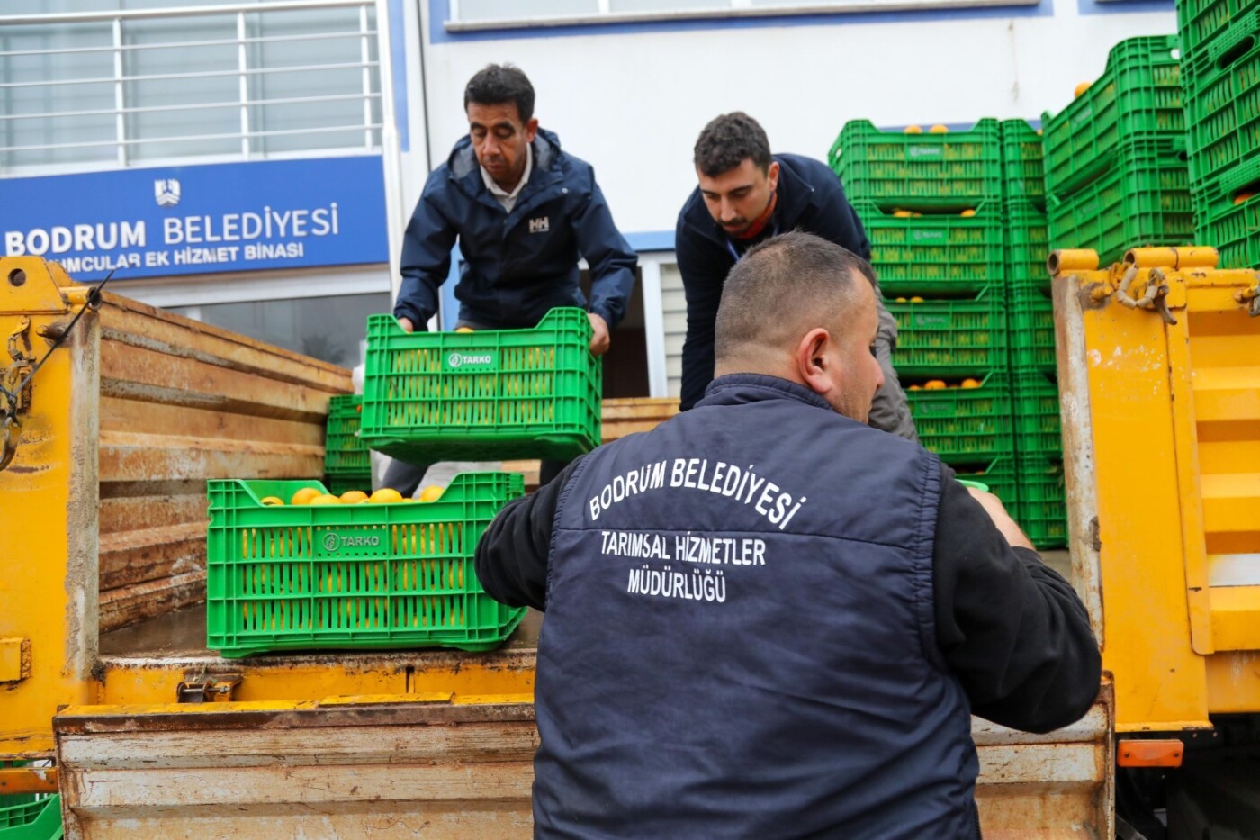 belediye meydanında mandalina dağıtımı (9)